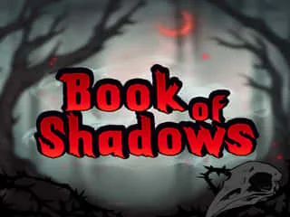 Book of Shadows Spiel-Cover