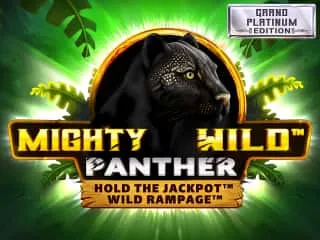 Mighty Wild: Panther Spiel-Cover